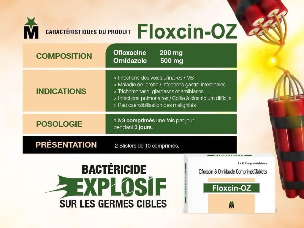 Visuel promotionnel 6